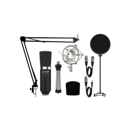 audibax-berlin1800-silver-pro-pack-micro