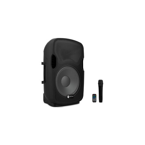 wiibo_Festa_12_altavoz_micro